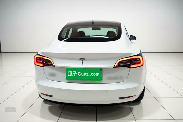 Tesla Model 3 2021 #6 Tesla Model 3 2021 car image #6