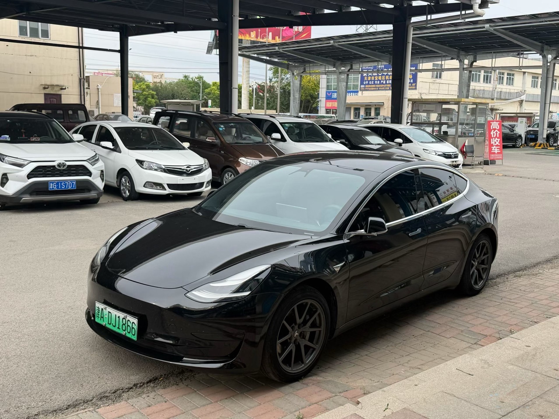 Tesla Model 3 2020 car image 