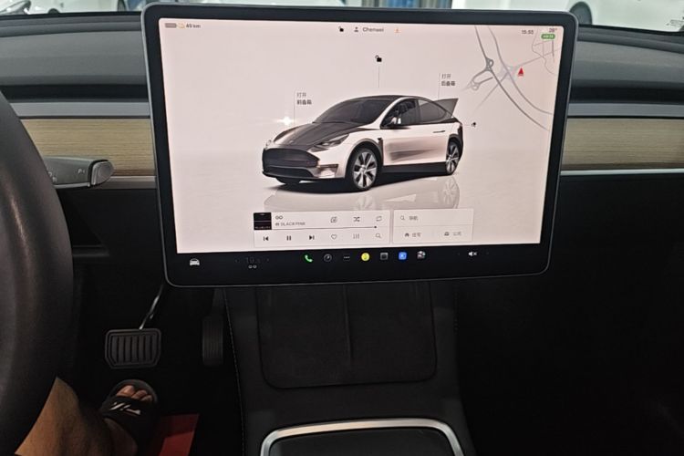 Tesla Model Y 2022 car image #13