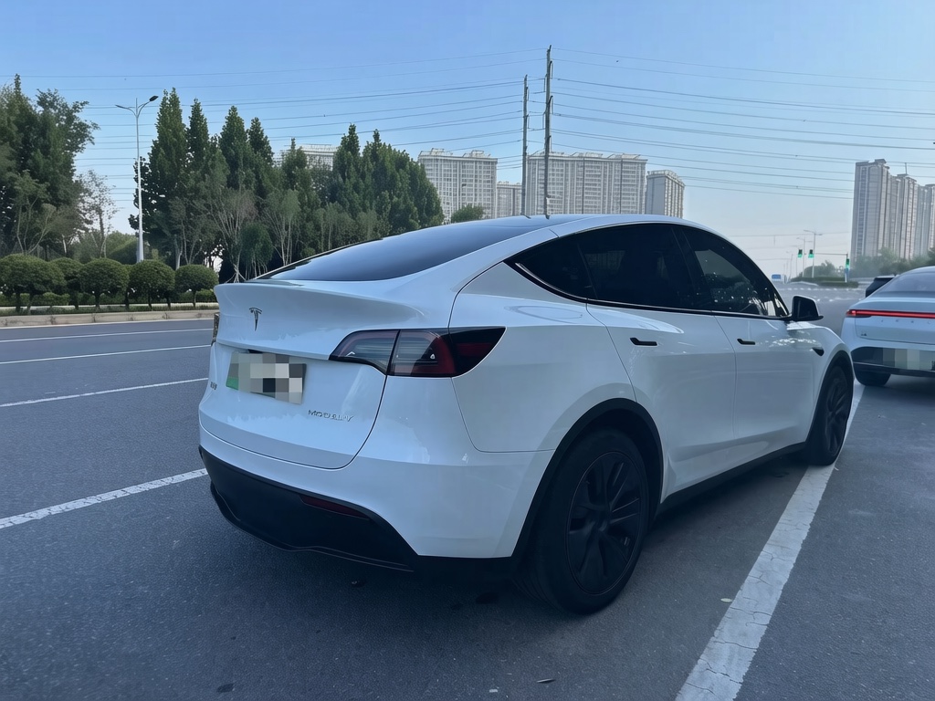 Tesla Model Y 2024 #5 Tesla Model Y 2024 car image #5