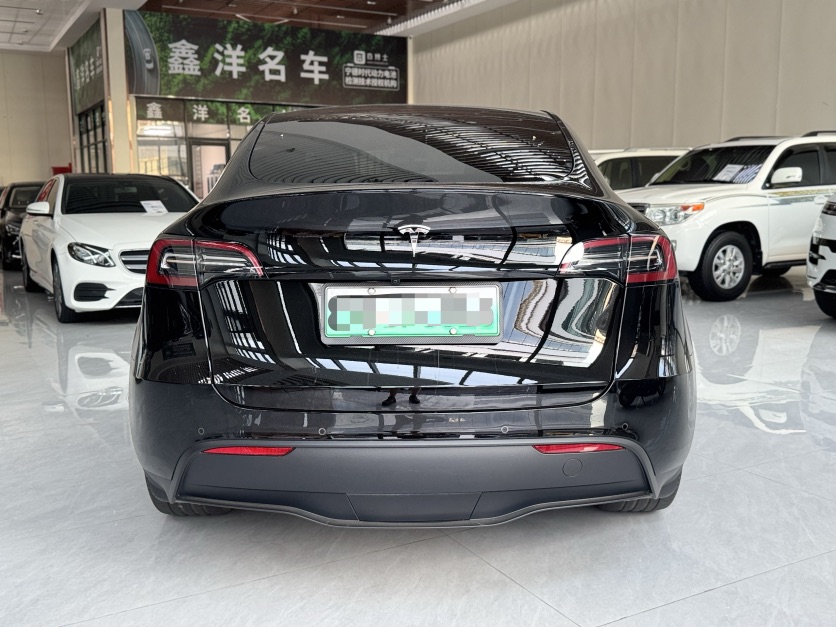 Tesla Model Y 2023 car image #8