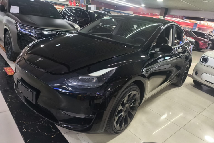 Tesla Model Y 2021 #2 Tesla Model Y 2021 car image #2