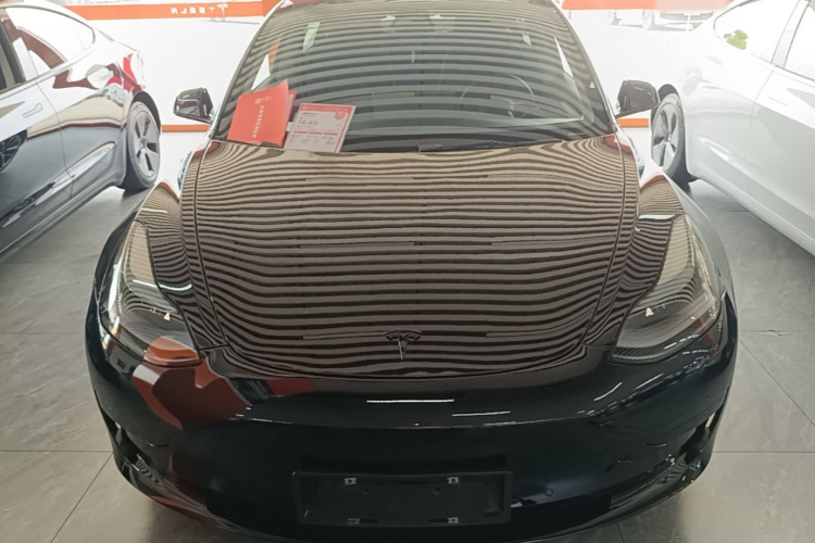 Tesla Model 3 2023 #3 Tesla Model 3 2023 car image #3
