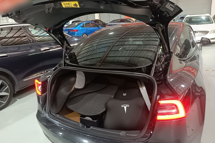 Tesla Model 3 2020 #21 Tesla Model 3 2020 car image #21