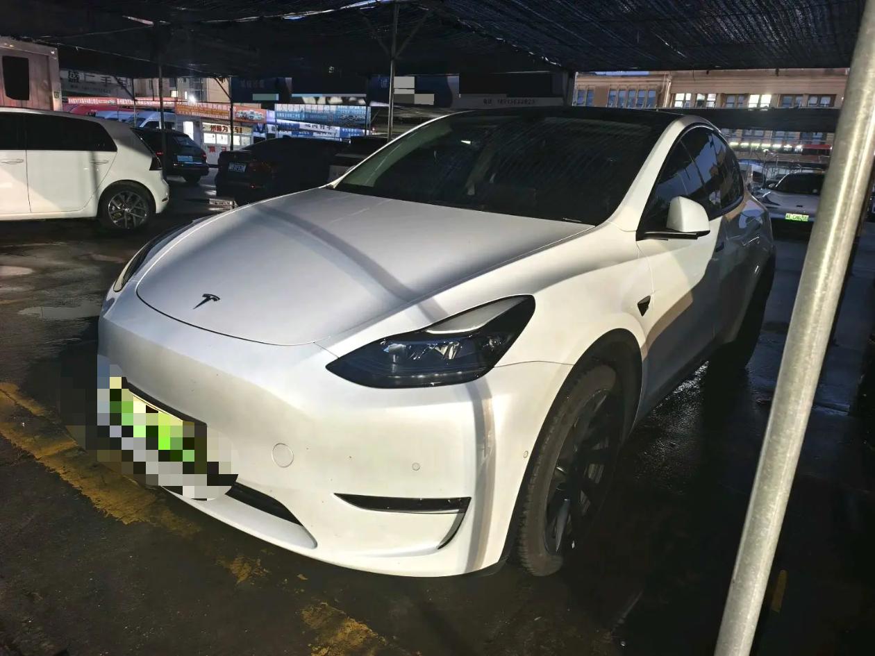 Tesla Model Y 2022 car image 