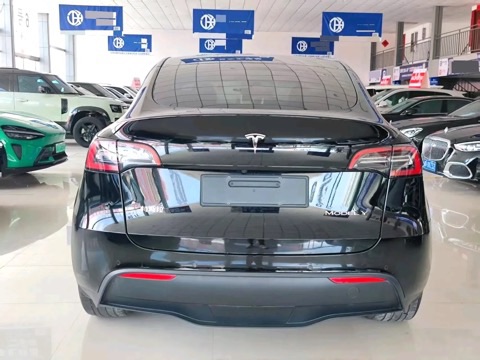 Tesla Model Y 2023 #7 Tesla Model Y 2023 car image #7