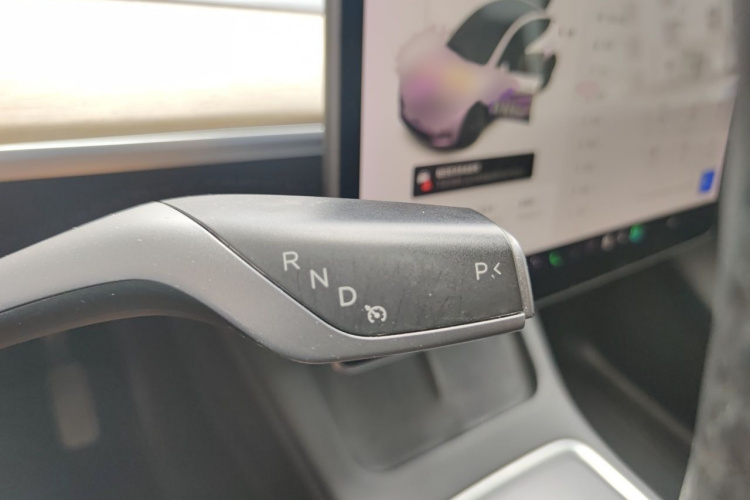 Tesla Model Y 2021 car image #18
