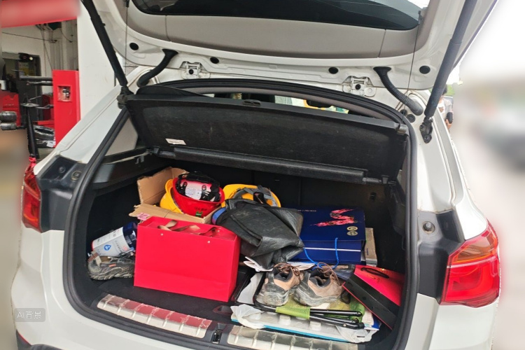 BMW X1 2017 car image #21