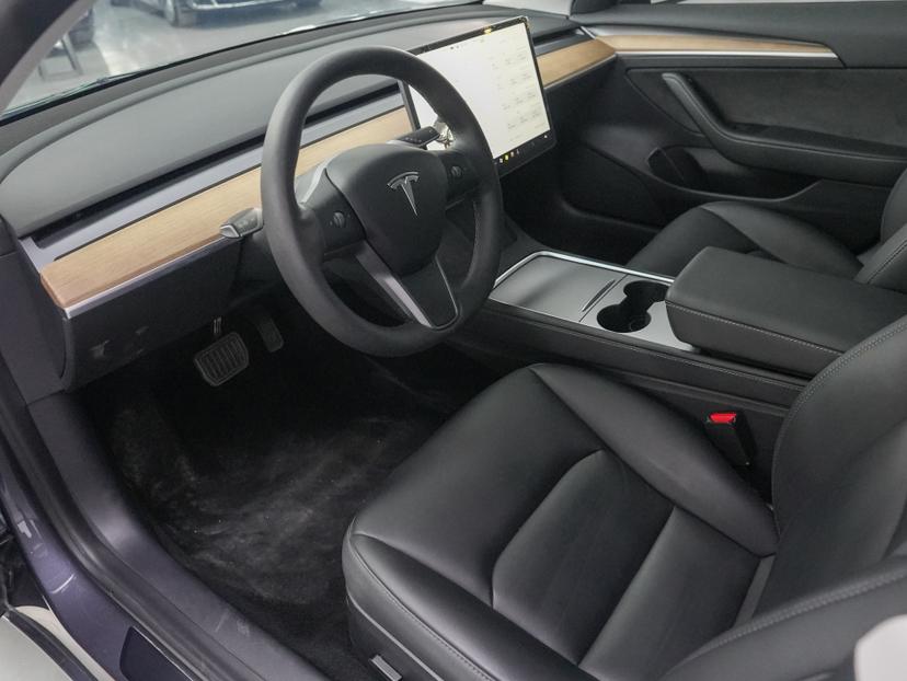 Tesla Model 3 2021 car image #13