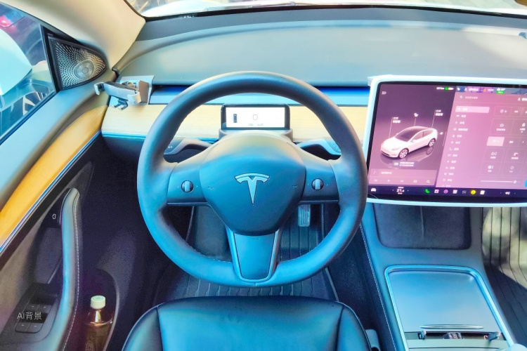 Tesla Model Y 2022 car image #12