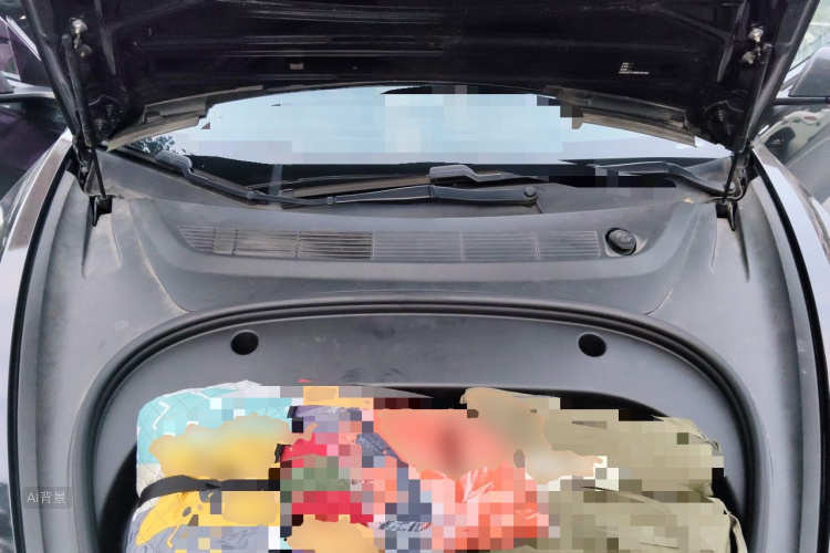 Tesla Model 3 2021 car image #22