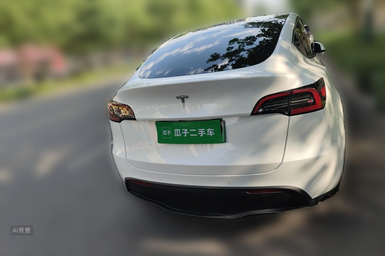 Tesla Model Y 2023 #6 Tesla Model Y 2023 car image #6