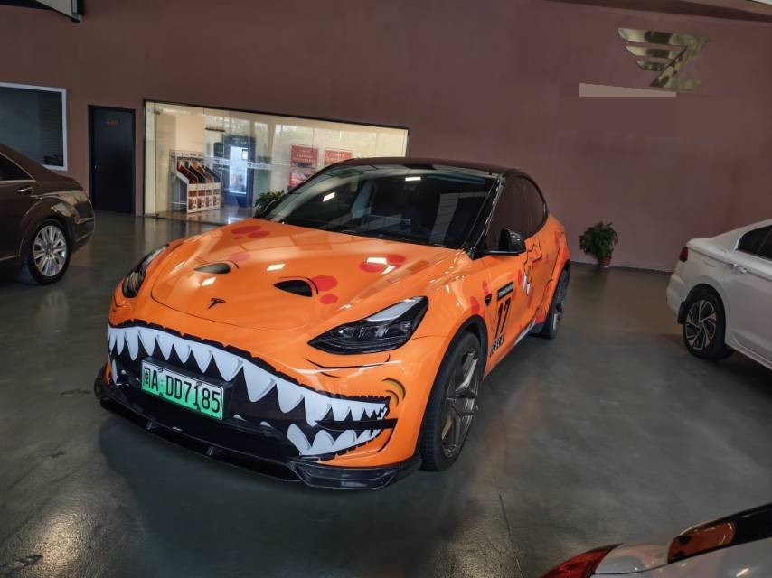 Tesla Model Y 2022 immagine di auto 