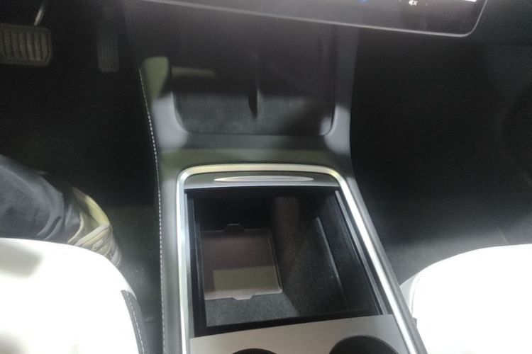 Tesla Model 3 2021 car image #14
