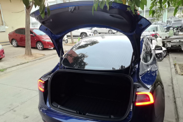 Tesla Model 3 2020 #19 Tesla Model 3 2020 car image #19