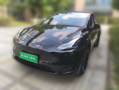 Tesla Model Y 2022 Tesla Model Y 2022 car image
