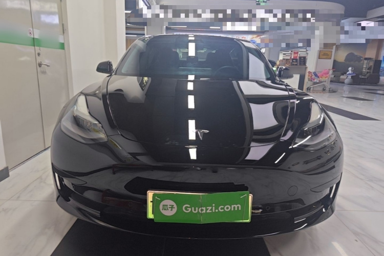 Tesla Model 3 2021 car image #3