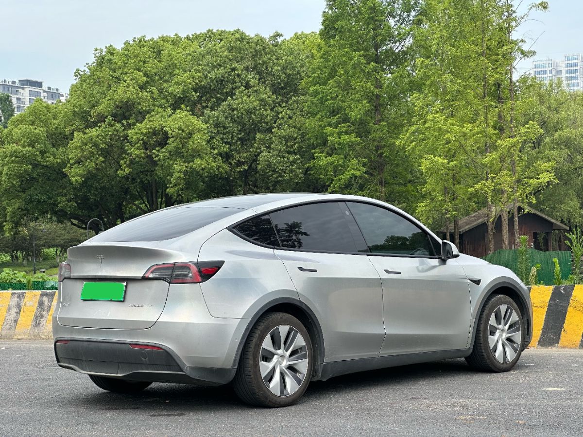 Tesla Model Y 2022 car image #6