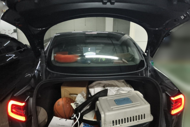 Tesla Model 3 2021 car image #21
