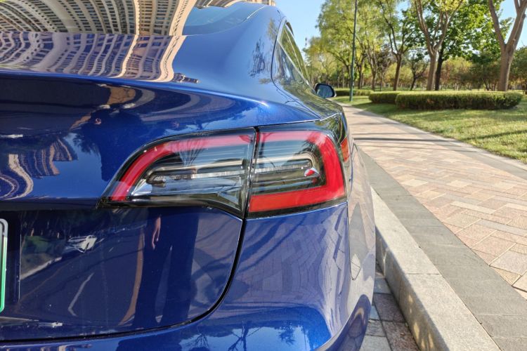 Tesla Model 3 2020 car image #8