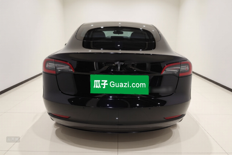 Tesla Model 3 2021 car image #6