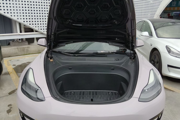 Tesla Model 3 2021 #22 Tesla Model 3 2021 immagine di auto #22