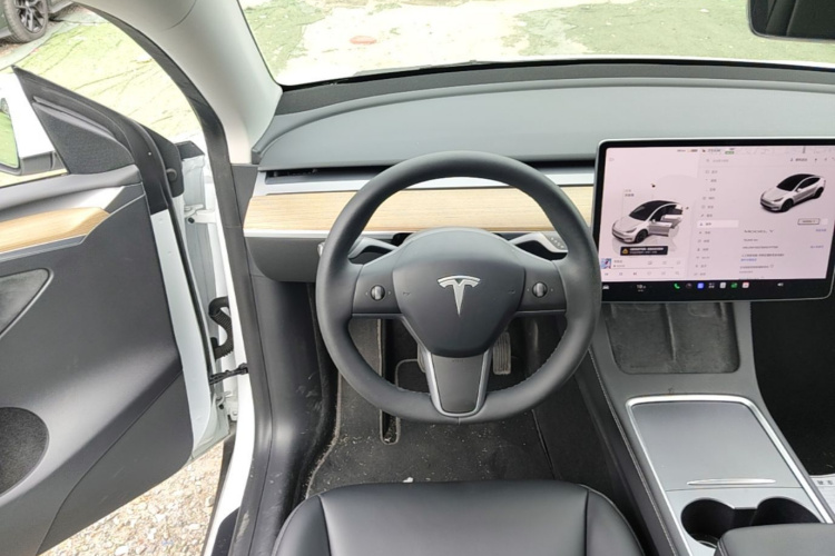 Tesla Model Y 2022 car image #15