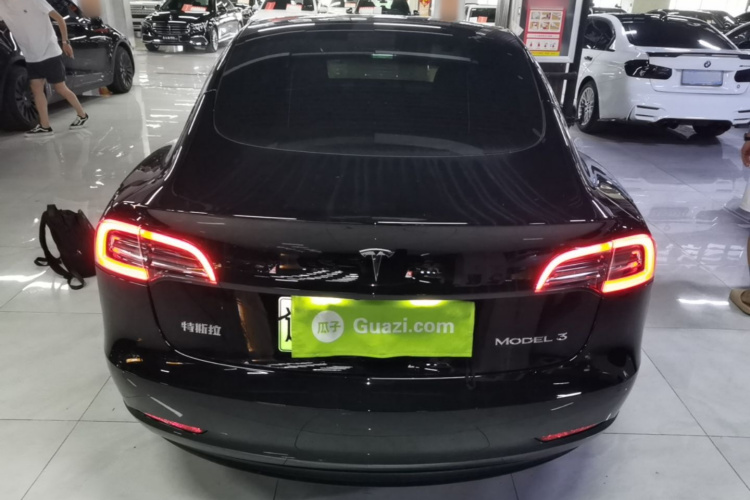 Tesla Model 3 2021 #3 Tesla Model 3 2021 car image #3
