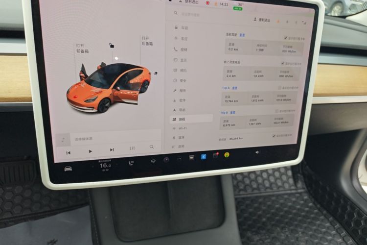 Tesla Model 3 2021 car image #13