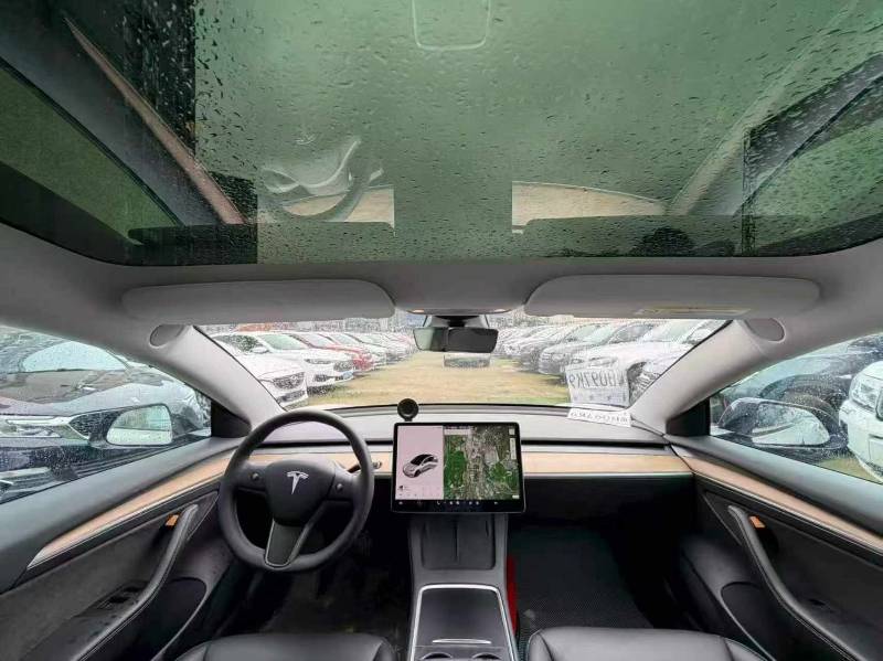 Tesla Model 3 2021 car image #8
