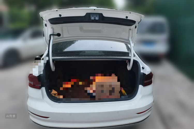 Volkswagen Lavida 2021 car image #21