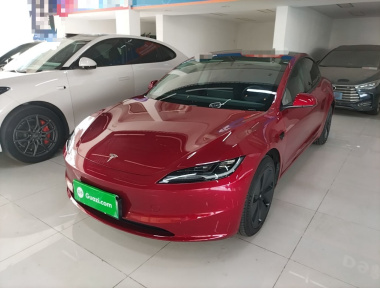 Tesla Model 3 2024 Tesla Model 3 2024 car image
