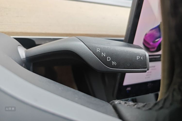 Tesla Model Y 2021 car image #16