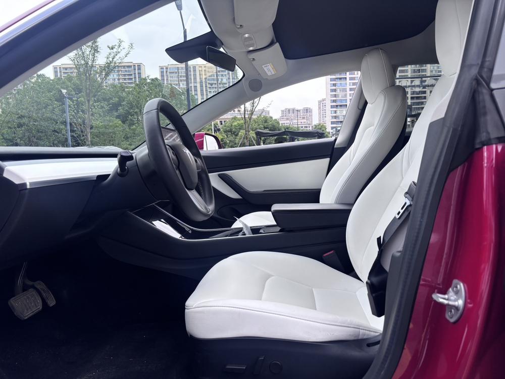 Tesla Model 3 2020 car image #8