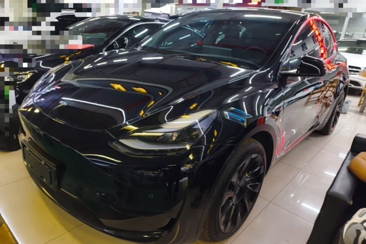 Tesla Model Y 2022 car image #2