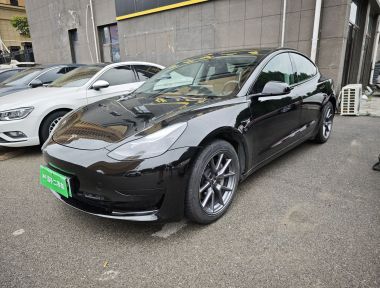 Tesla Model 3 2023 Tesla Model 3 2023 car image