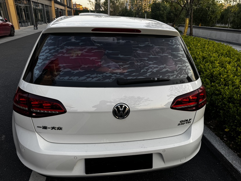 Volkswagen Golf 2017 car image #3