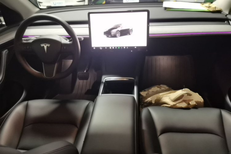 Tesla Model Y 2023 #10 Tesla Model Y 2023 صورة سيارة #10