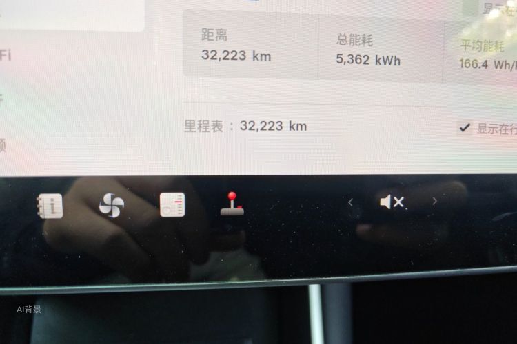 Tesla Model 3 2020 car image #14