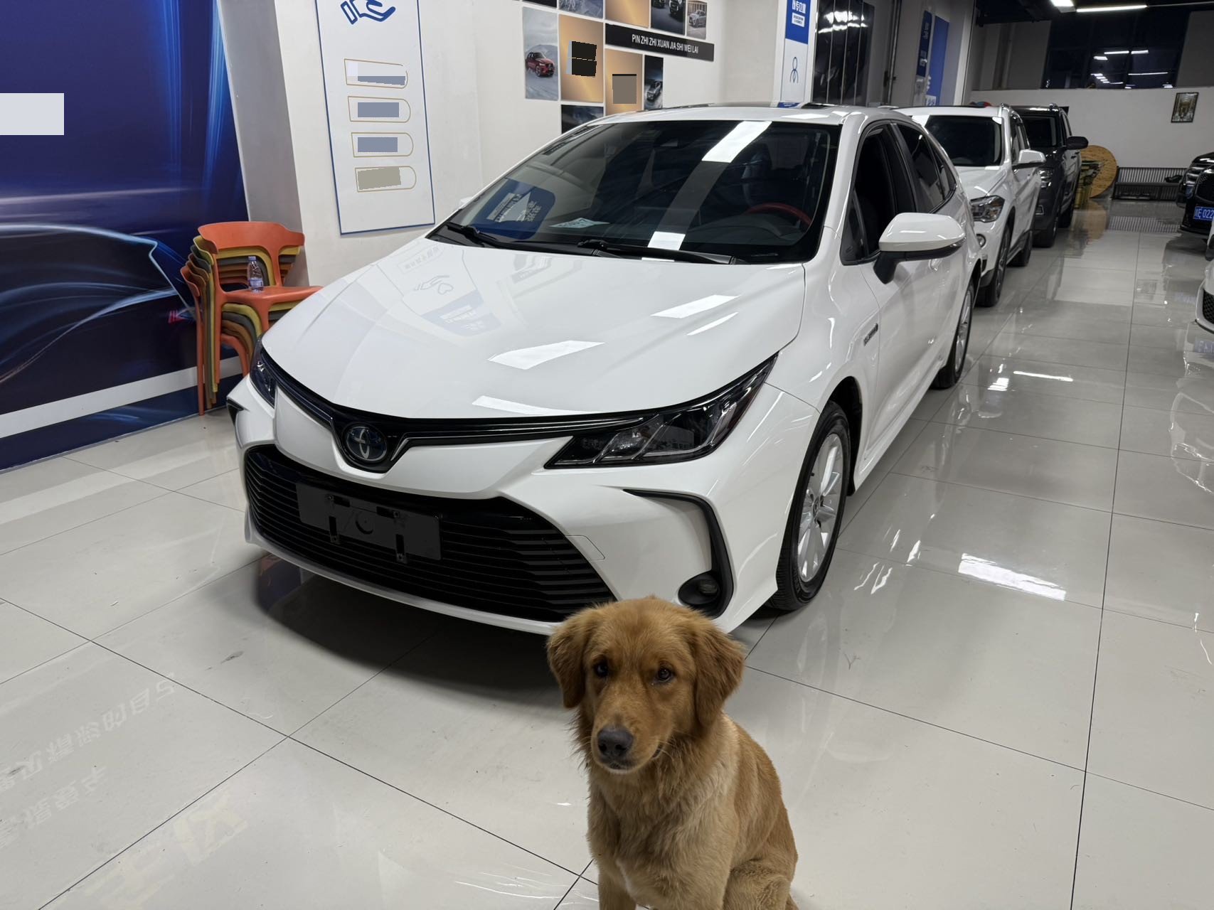 Toyota Corolla 2020 car image 