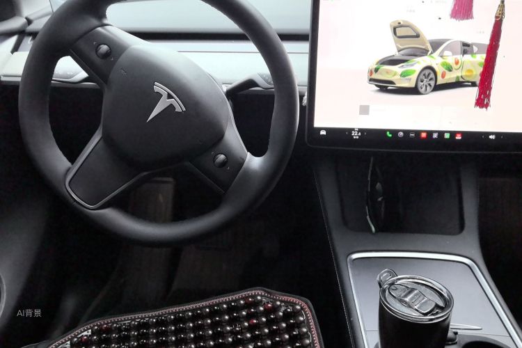 Tesla Model Y 2025 car image #12