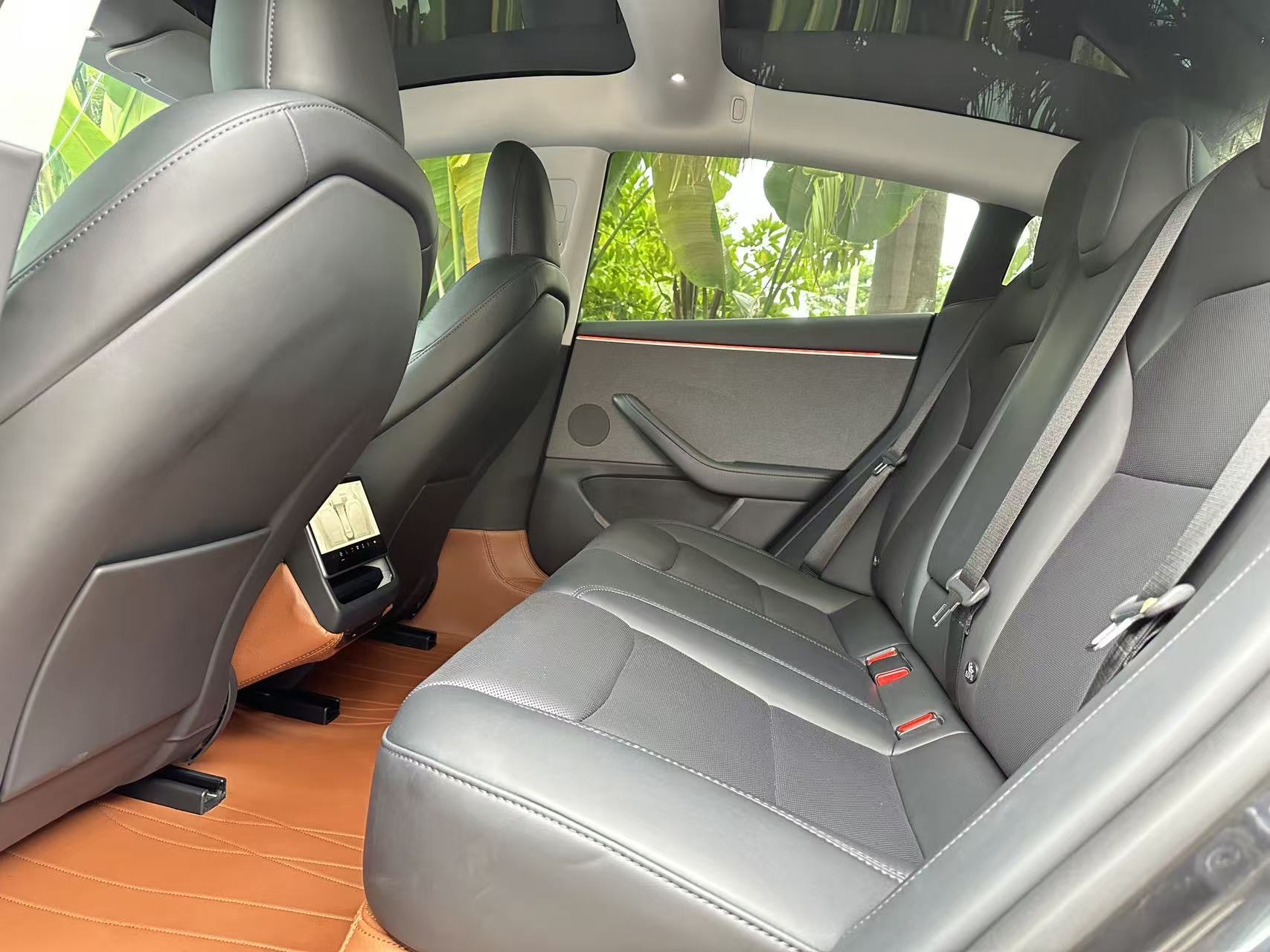 Tesla Model 3 2024 car image #8