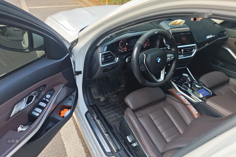 BMW 3 Series 2019 car image #18