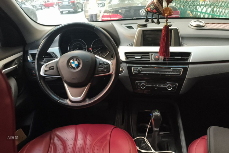 BMW X1 2017 car image #11