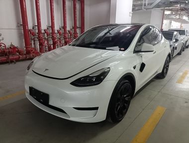 Tesla Model Y 2023 Tesla Model Y 2023 car image