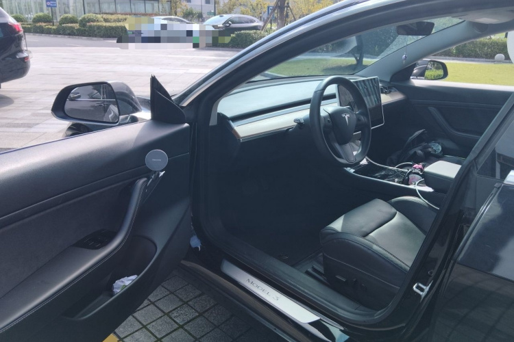 Tesla Model 3 2020 car image #9