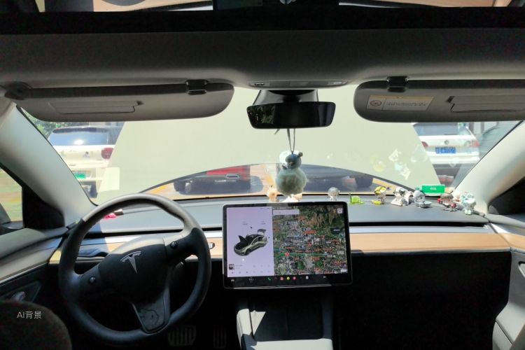 Tesla Model 3 2021 #11 Tesla Model 3 2021 car image #11