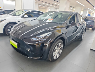 Tesla Model Y 2023 Tesla Model Y 2023 car image