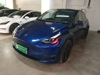 Tesla Model Y 2021 car image 