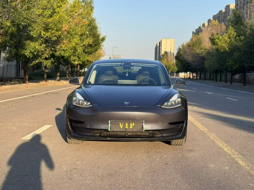 Tesla Model 3 2020 Tesla Model 3 2020 car image